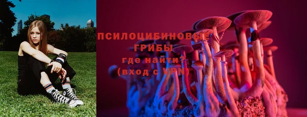 дурь Алексин